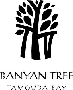 Logo Banyan Tree – groupe hôtelier client Social360